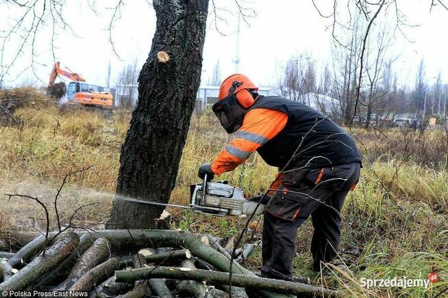 Wycinka drzew. Usługi koparka 3,5T. Koszenie traw, nieużytków