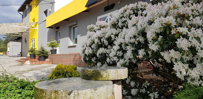 KIEROWCĘ KAT C+E W KRAJU