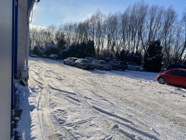 Wynajem Biura Lokali Elbląg Biuro na Wynajem + Parking