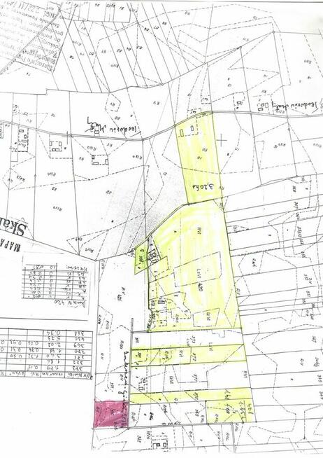 Do wynajęcia 19,19 ha