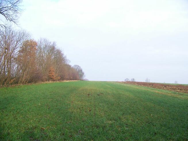 działka rolna pod Białogardem o pow.3500 mkw