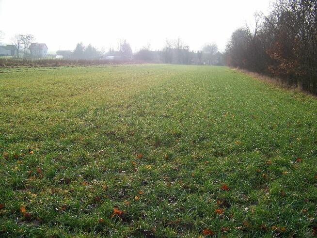 działka rolna pod Białogardem o pow.3500 mkw