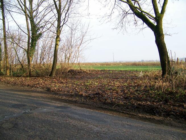 działka rolna pod Białogardem o pow.3500 mkw