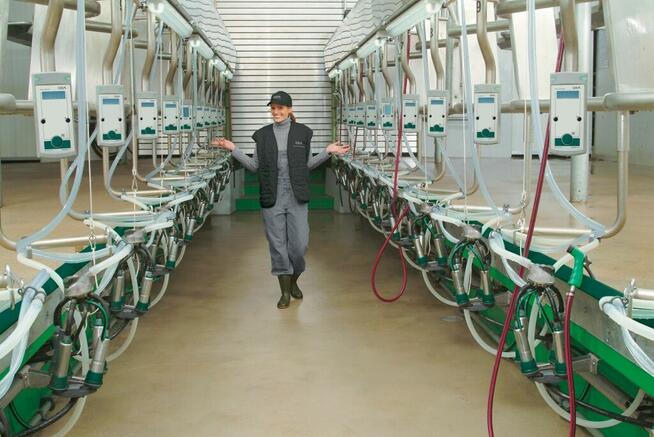 Przedstawiciel Handlowy Doradca