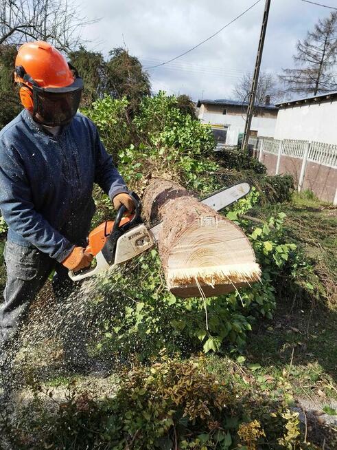 Wycinka drzew, z podnośnika, alpinistycznie. Usługi rębakiem