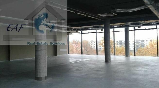 Lokal użytkowy Warszawa Wawer, Wawer