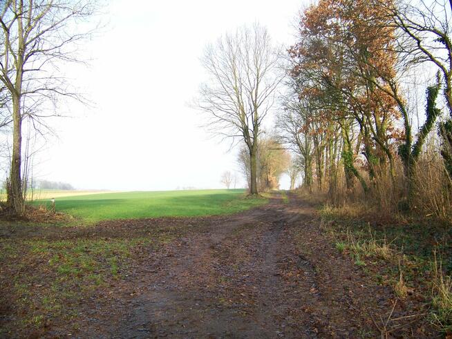 działka rolna pod Białogardem o pow.3500 mkw