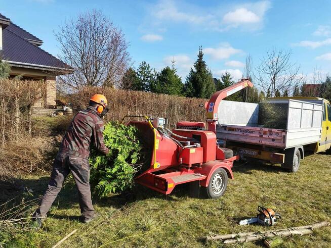 Wycinka drzew, z podnośnika, alpinistycznie. Usługi rębakiem