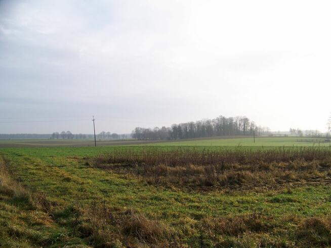 działka rolna pod Białogardem o pow.3500 mkw