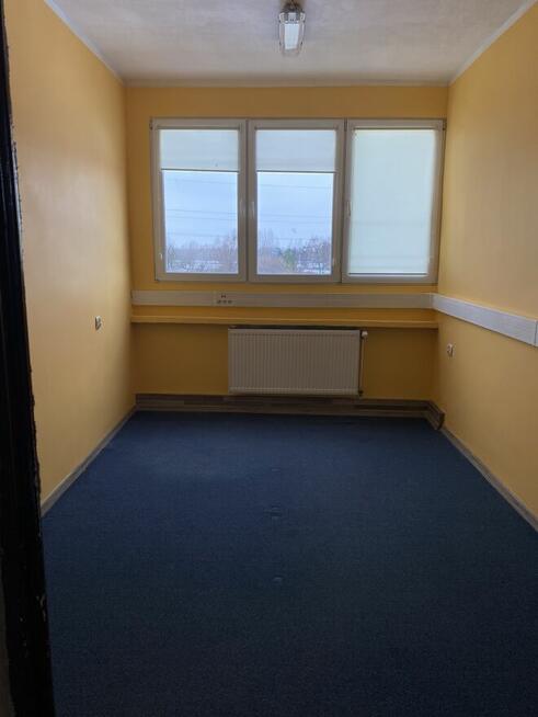 Wynajem Biura Lokali Elbląg Biuro na Wynajem + Parking