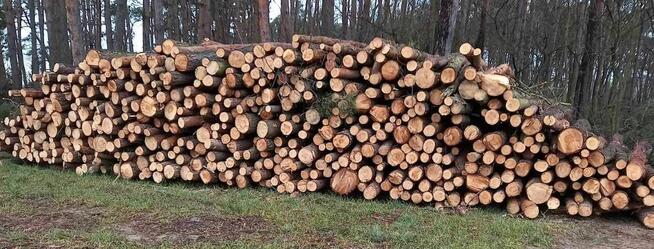 drewno Opałowe  wysezonowane  26m3 wałki 2,5m