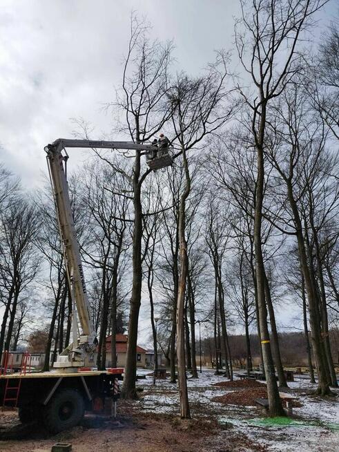 Wycinka drzew, z podnośnika, alpinistycznie. Usługi rębakiem