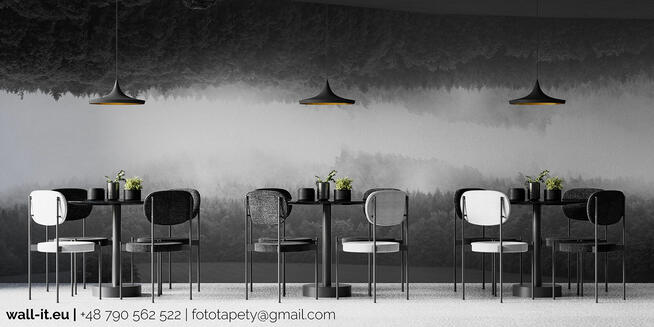 Fototapety na wymiar polski Producent TAPETY Wall-it