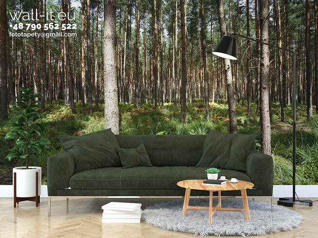 Fototapety na wymiar polski Producent TAPETY Wall-it