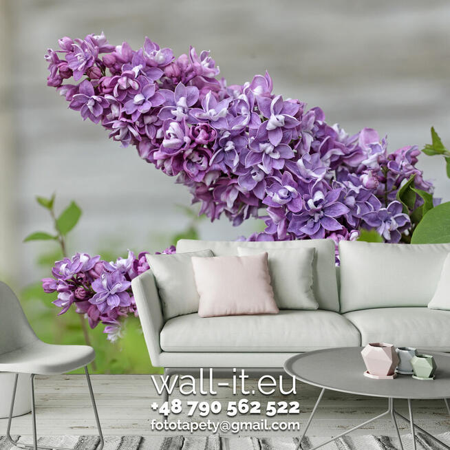 Fototapety LAS Fototapeta DRZEWA Producent na wymiar UNIKATY