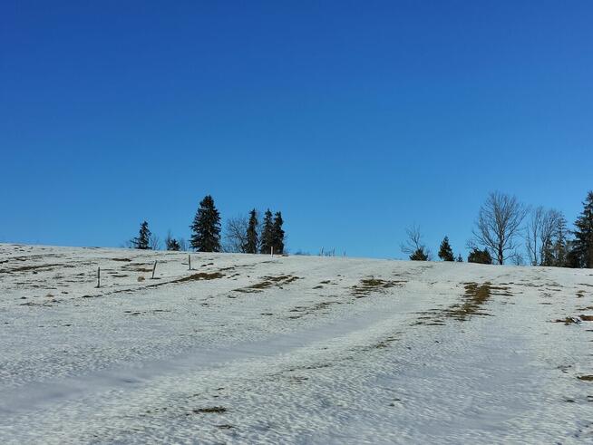 Działka w Maruszynie
