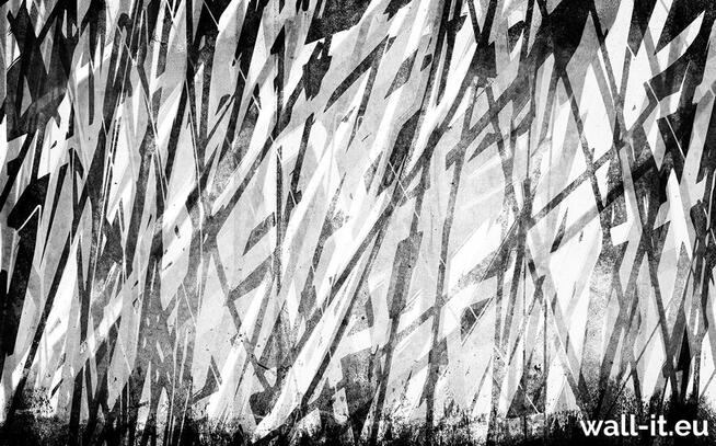 Tapeta do męskiej sypialni za zagłówek łóżka Fototapety