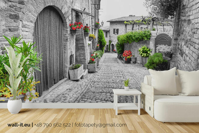 Fototapety na wymiar polski Producent TAPETY Wall-it