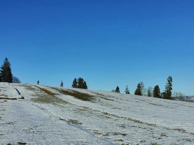 Działka w Maruszynie