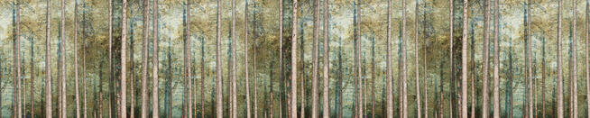 Zmywalna fototapeta do kuchni laminowana drzewa TAPETY