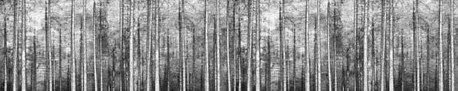 Zmywalna fototapeta do nowoczesnej kuchni TAPETA