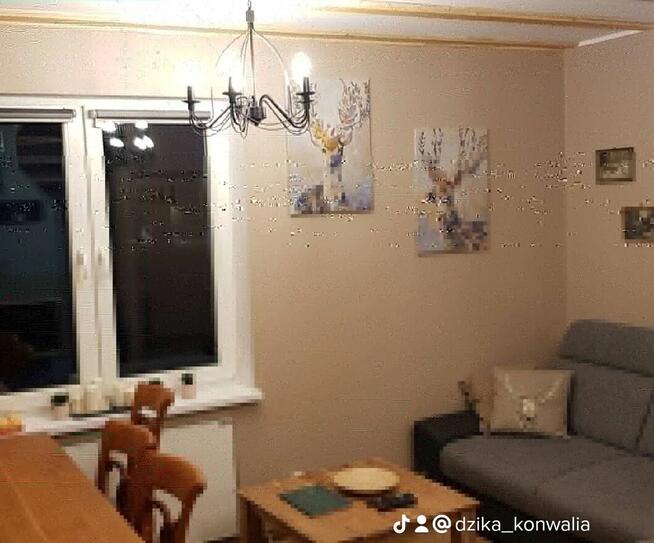 Majówka w Górach - Lasówka, Zieleniec, Polanica, Duszniki