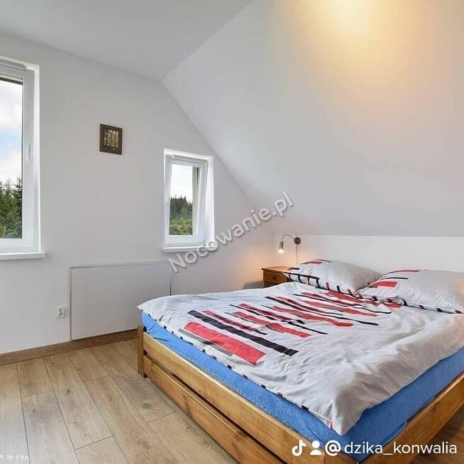 Zima w Górach - Lasówka, Zieleniec, Kudowa