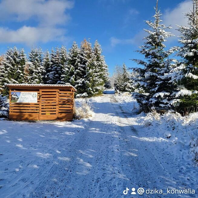 Domki w Górach Zieleniec-Lasówka-Duszniki-Kudowa