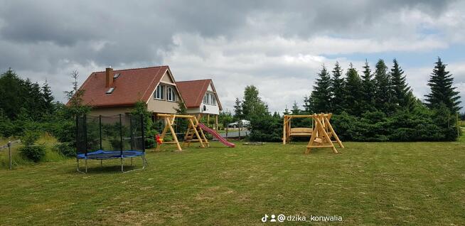 Majówka w Górach - Lasówka, Zieleniec, Polanica, Duszniki