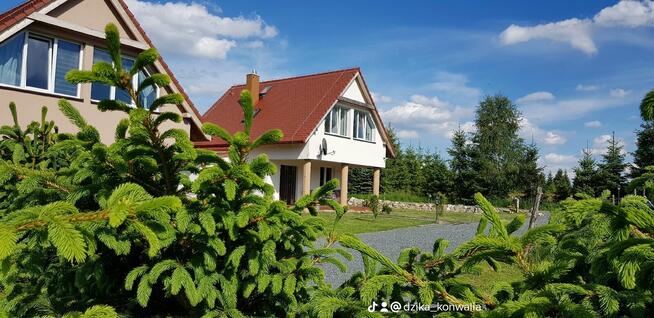 Majówka w Górach - Lasówka, Zieleniec, Polanica, Duszniki