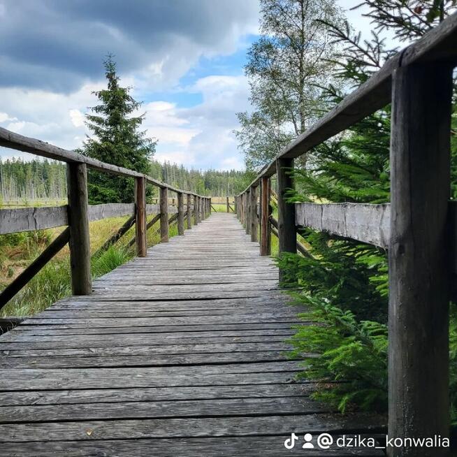 Majówka w Górach - Lasówka, Zieleniec, Polanica, Duszniki