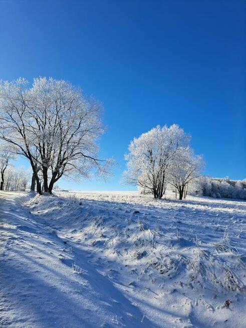 Zima w Górach - Lasówka, Zieleniec, Kudowa