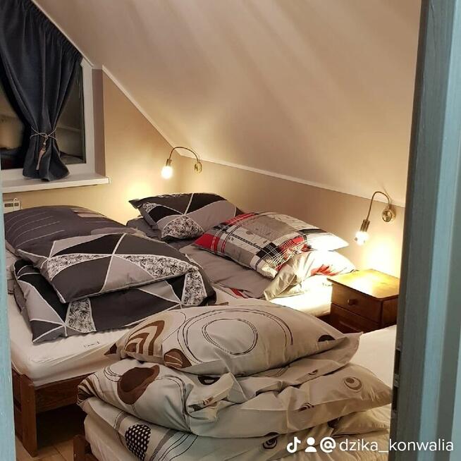 Zima w Górach - Lasówka, Zieleniec, Kudowa