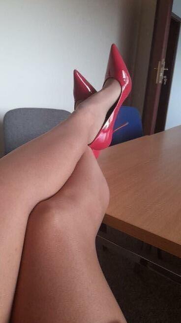 Pani szuka pani Wielkopolska