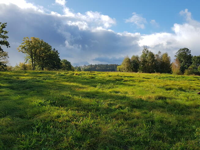 Działki na sprzedaż, Mechowo, gmina Puck