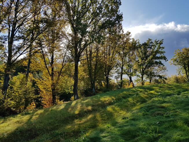 Działki na sprzedaż, Mechowo, gmina Puck