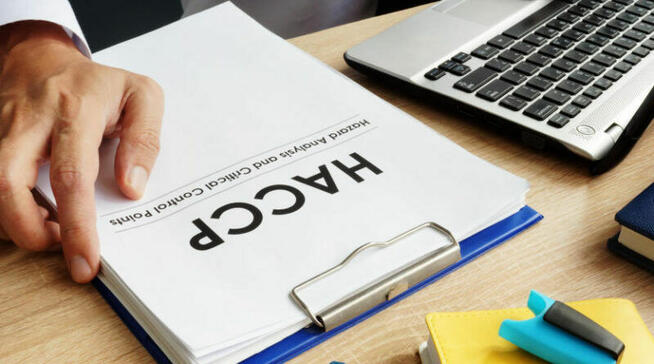 Deratyzacja Gryfice. Zwalczamy szczury i myszy w Gryficach!