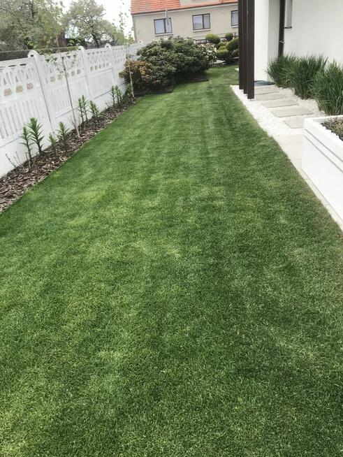 Zakładanie ogrodów ,usługi ogrodnicze ,nawadnianie