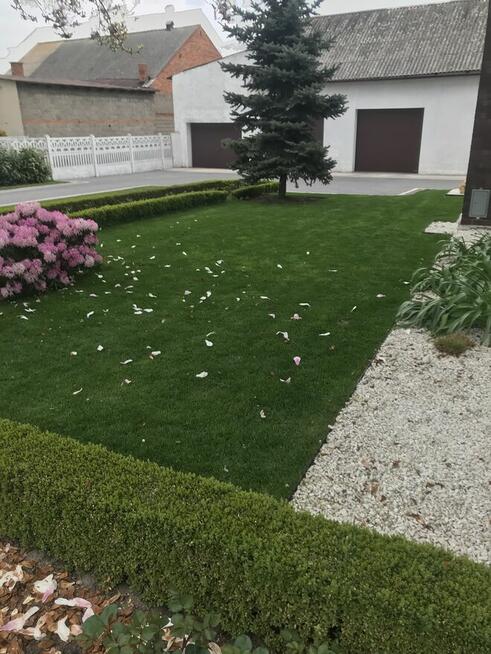 Zakładanie ogrodów ,usługi ogrodnicze ,nawadnianie