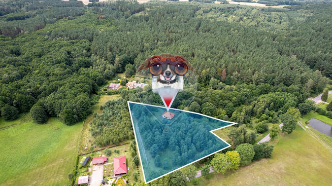 Dom w sercu przyrody-Oaza komfortu i spokoju życia