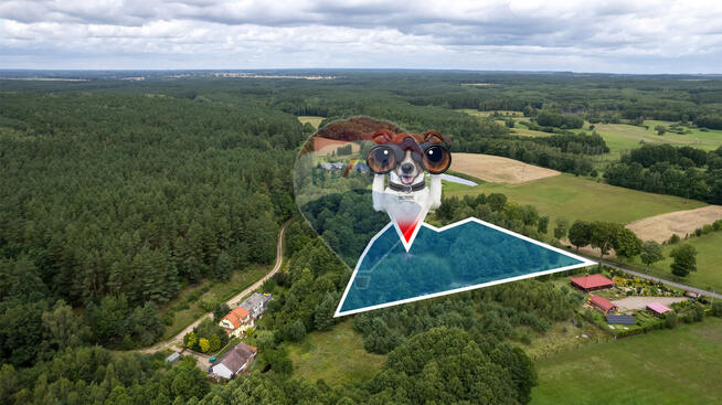 Dom w sercu przyrody-Oaza komfortu i spokoju życia