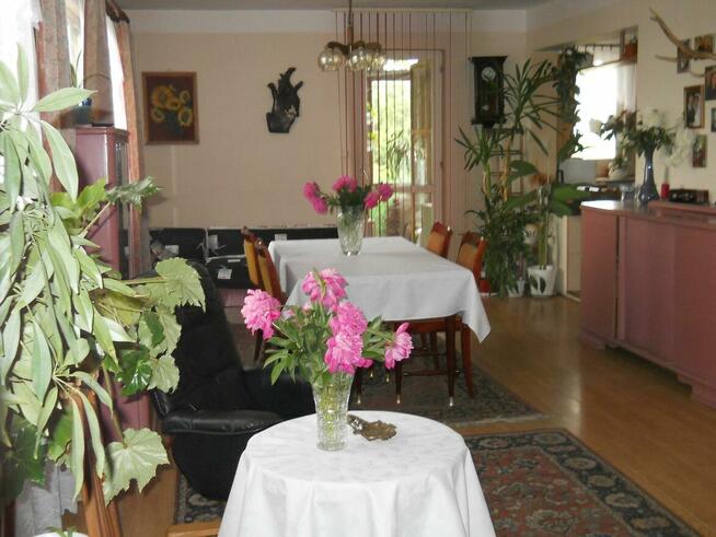 Dla rodziny, pod inwestycję, dzierżawa, wynajem.