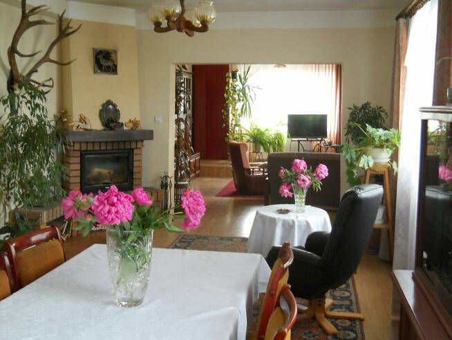 Dla rodziny, pod inwestycję, dzierżawa, wynajem.