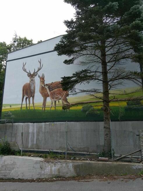 Murale i obrazy
