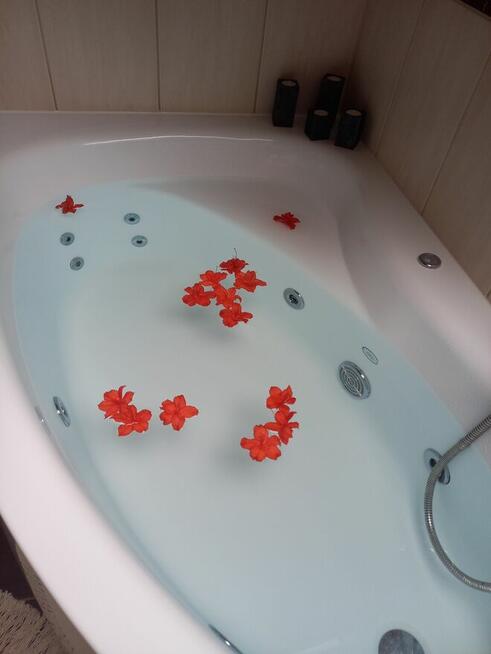 Domki apartamenty simonka