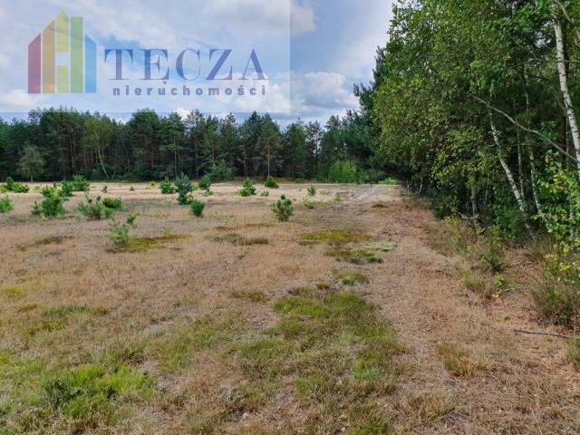 Działka budowlana Górki gm. Dębe Wielkie