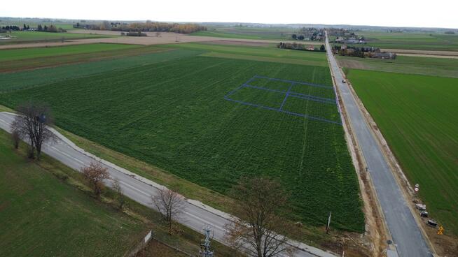 Działka, Zalesie, Wilkołaz, 11 ar, budowlana