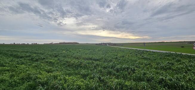 Działka, Zalesie, Wilkołaz, 11 ar, budowlana