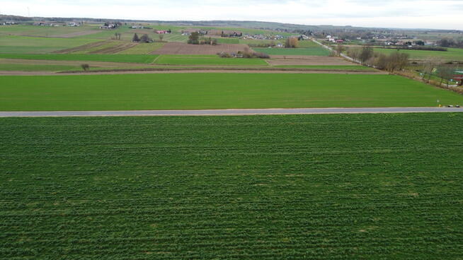 Działka, Zalesie, Wilkołaz, 11 ar, budowlana