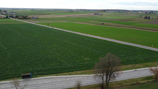 Działka, Zalesie, Wilkołaz, 11 ar, budowlana